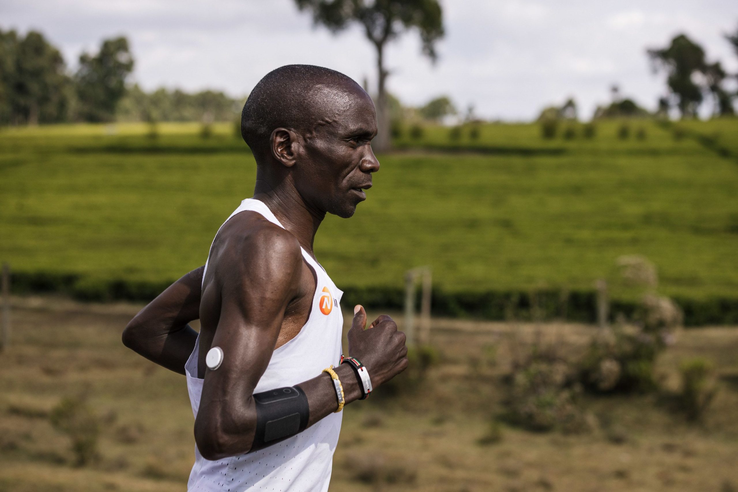 Glucose Sport Biosensor: The Best Innovations for Runners